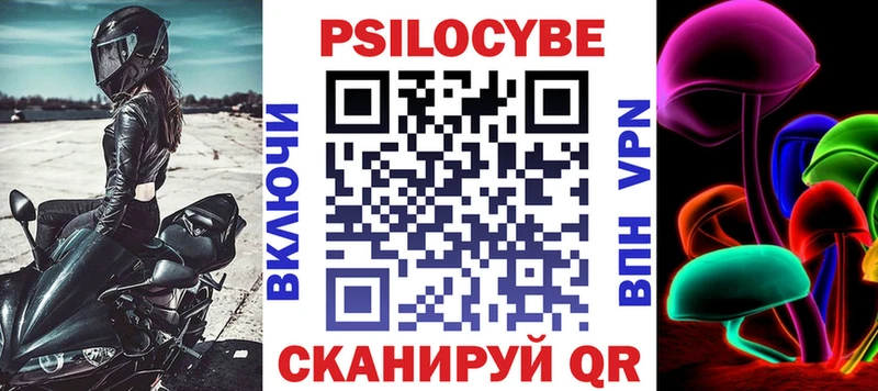 где купить наркоту  Нязепетровск  Псилоцибиновые грибы Psilocybe 